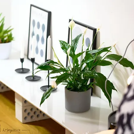 Casa Wimpina - Geschmackvolles Im Herzen Der Altstadt * Bad Wimpfen